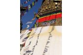 buddha_eyes_1.jpg