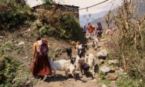 Tagebuch Annapurna 