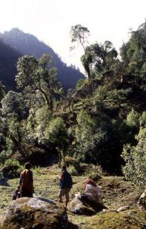 Tagebuch Annapurna 
