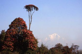 Tagebuch Annapurna 