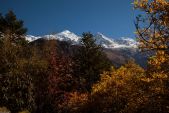 img_2219.jpg