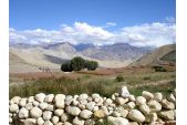 landschaft_bei_lo_manthang.jpg