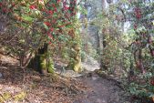 nepal_mittwoch_11.04.2012___42_.jpg