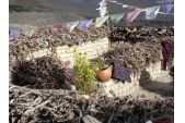 ueber_den_daechern_von_lo_manthang.jpg